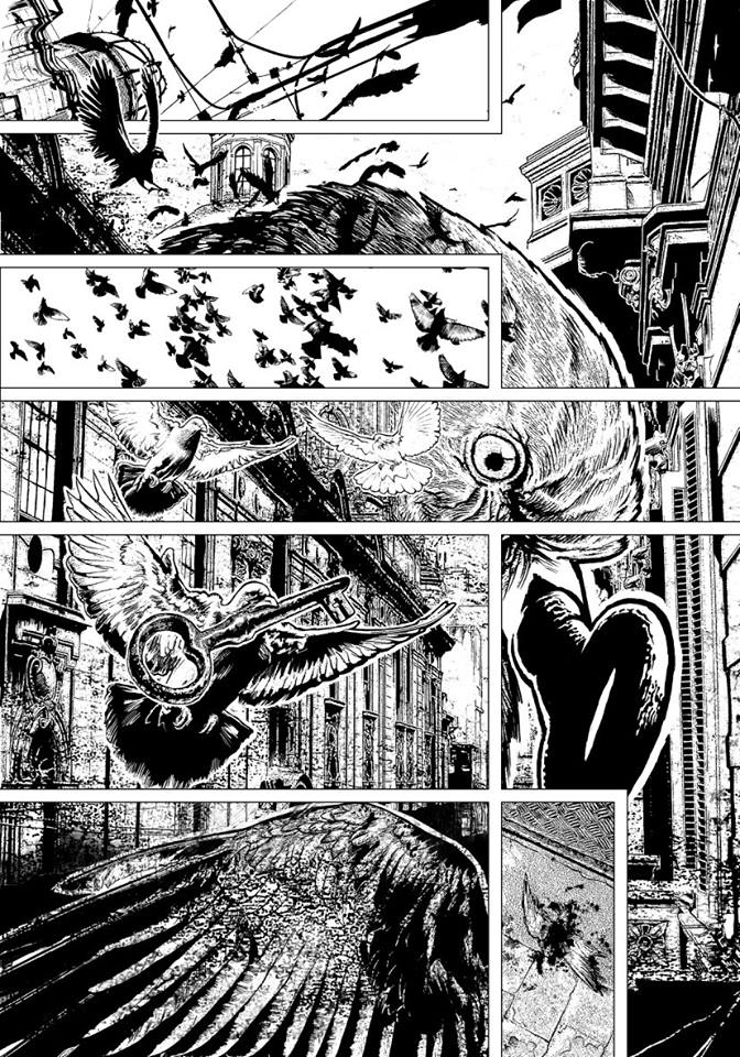 28377500_1615695195150982_6499744103025758145_n