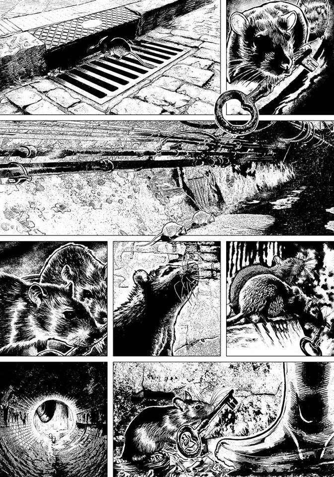 28378364_1615696561817512_5471233613434639459_n